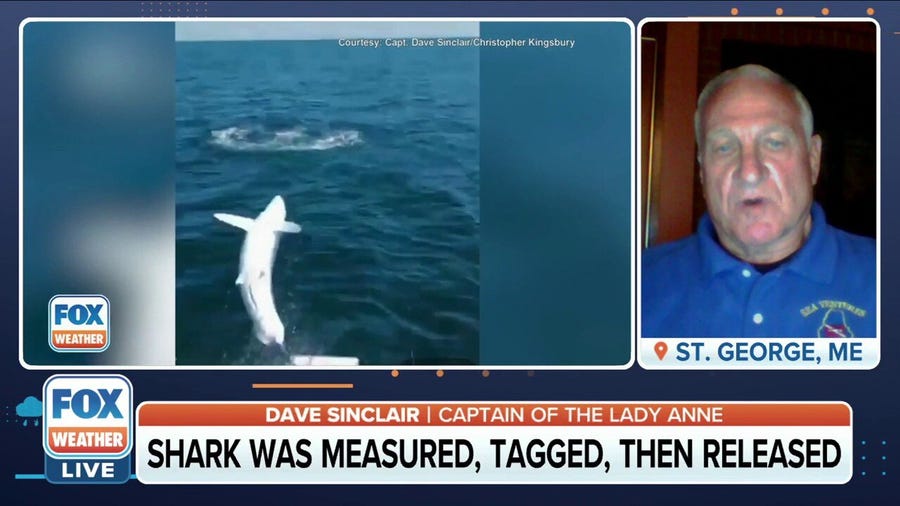 'We were all stunned': Fisherman recalls mako shark jumping onto boat