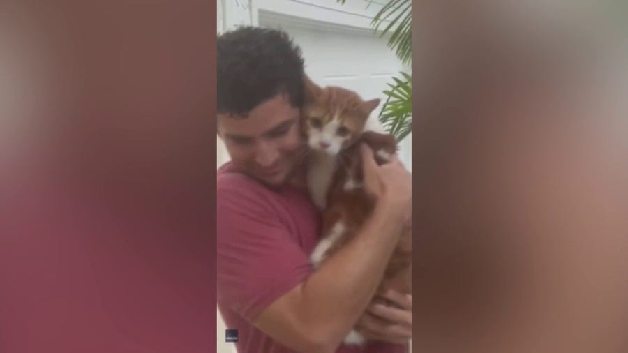 Florida man rescues cat from Hurricane Ian storm surge