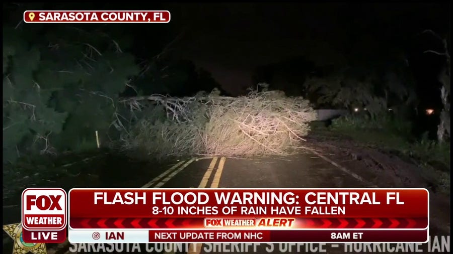 Fallen trees and downed power lines litter Sarasota County streets due to Ian