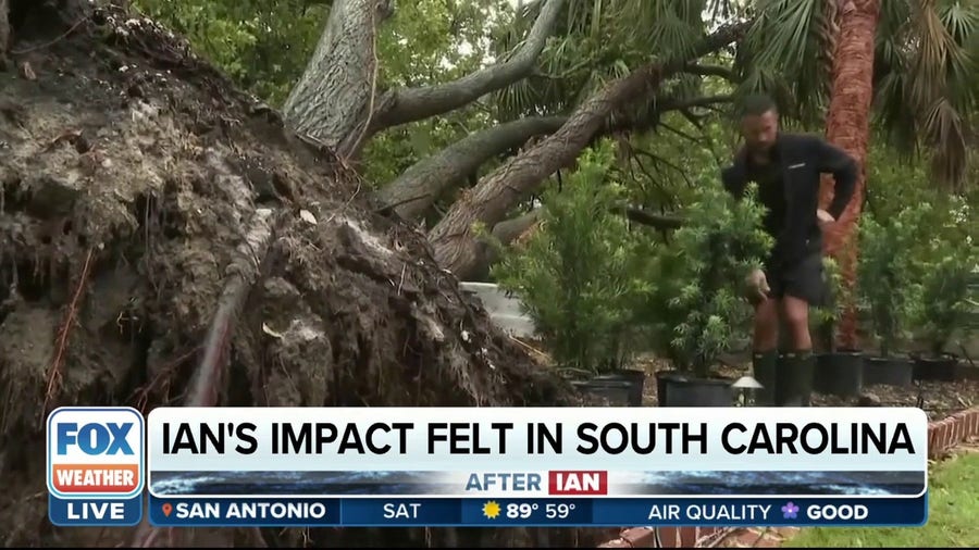Hurricane Ian damaged piers, felled trees in South Carolina