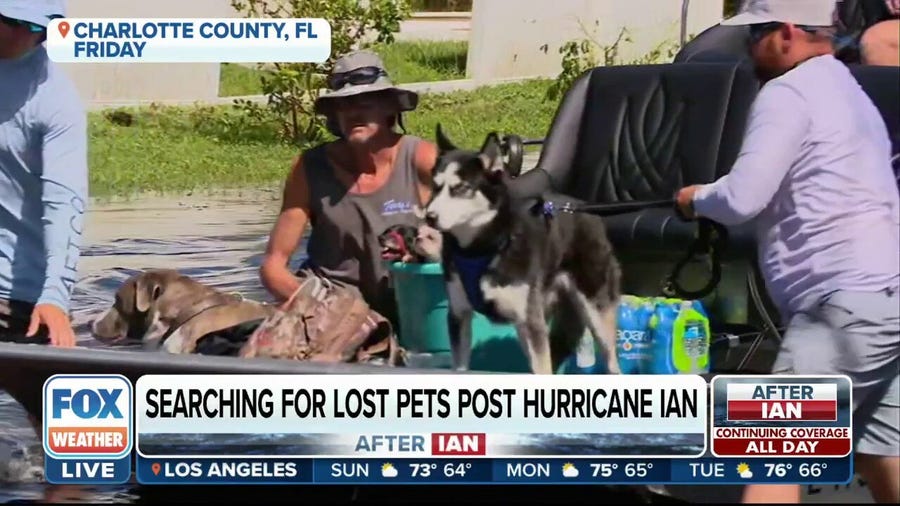 Locating displaced pets after Hurricane Ian