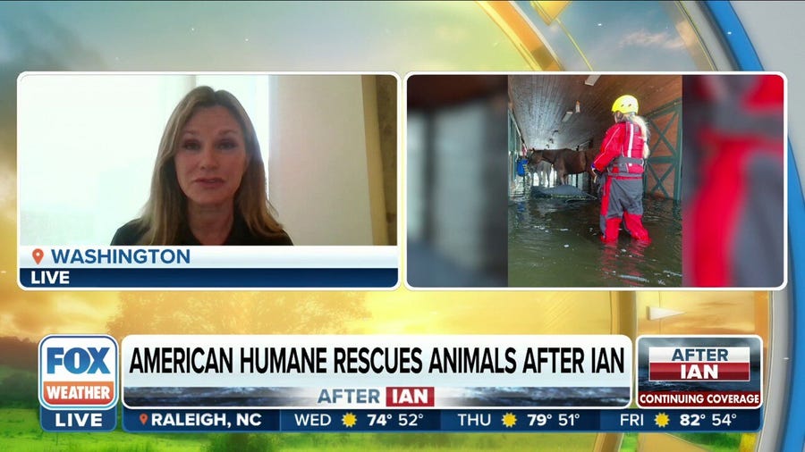 American Humane rescuing animals stranded after Hurricane Ian