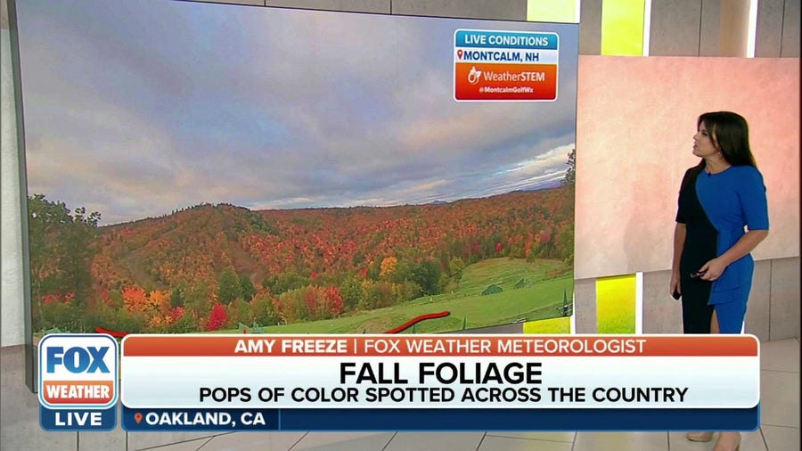 Pops of color from fall foliage spotted across the country