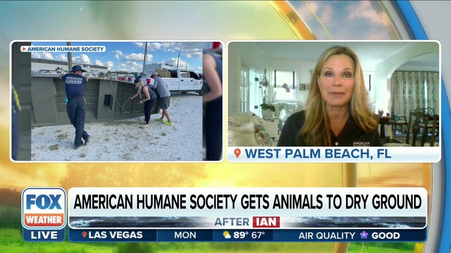American Humane Society rescuing animals stuck in rising Ian flood waters