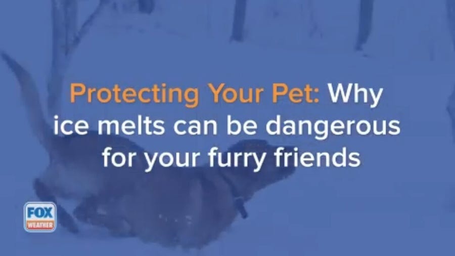 Protecting Your Pet: Why ice melts can be dangerous for your furry friends