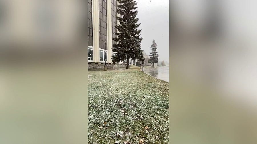 Large snowflakes fall in Fairbanks, Alaska