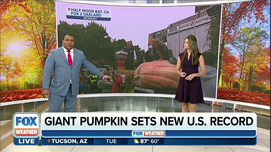Giant pumpkin sets new U.S. record weighing over 2,000 pounds