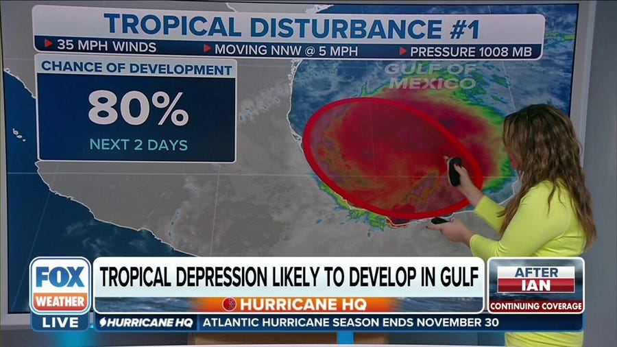 Tropical depression or potential tropical storm likely to develop in Gulf of Mexico
