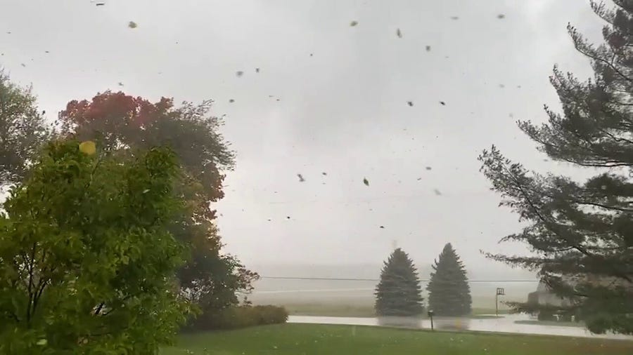 Storm winds strip leaves from trees in southeastern Wisconsin