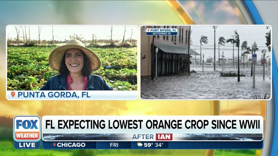 Florida farm finds resilience after Hurricane Ian's destruction