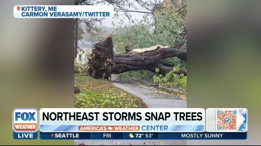 Storms bring down trees, power lines in Maine
