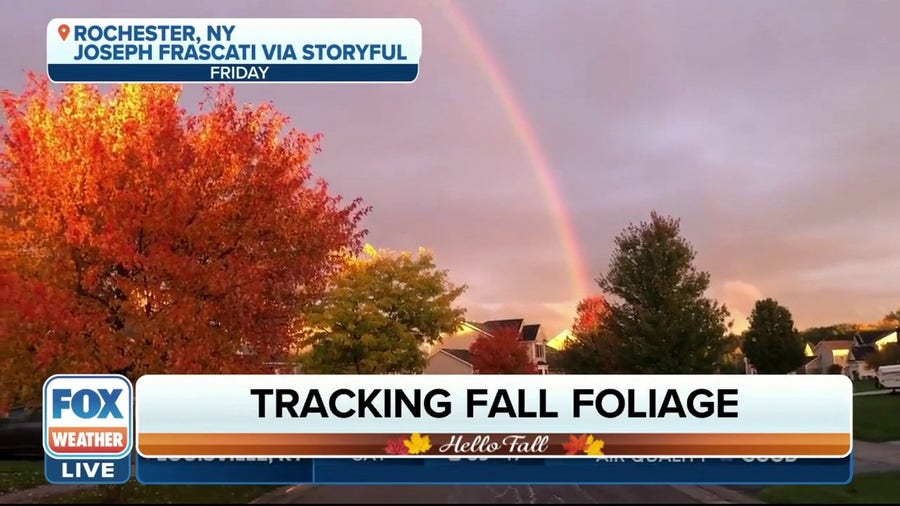 The Foliage Report shows peak leaf peeping opportunities