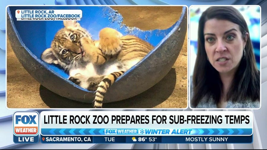 Little Rock Zoo prepares for sub-freezing temperatures