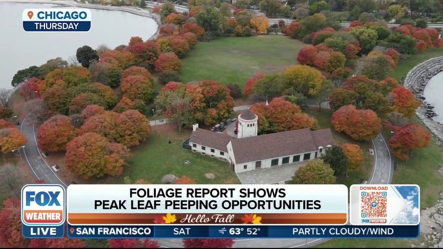 Discover where to find the best fall foliage this weekend