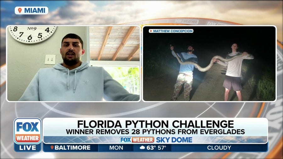 Winner of Florida Everglades challenge captured 28 Burmese pythons