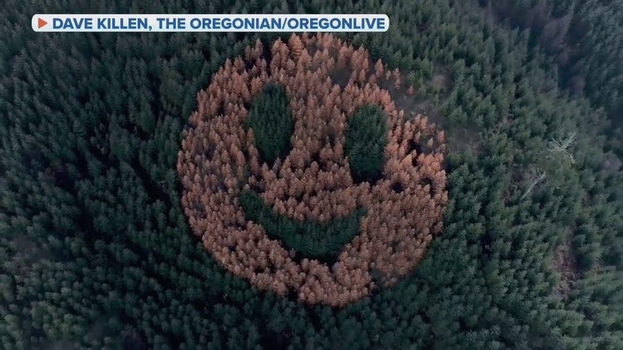 Watch: Giant smiley face returns to Oregon's trees every fall
