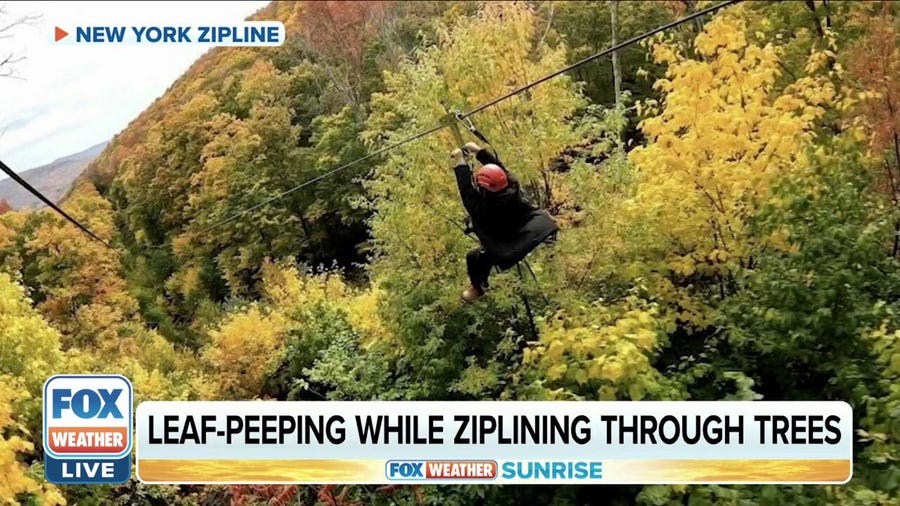 Leaf-peeping while ziplining through the trees in New York