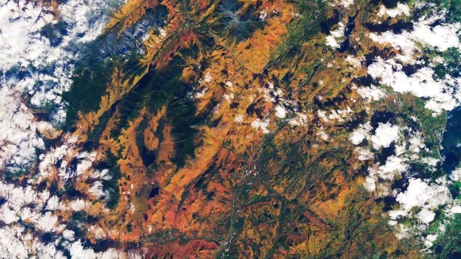 See the most beautiful fall foliage on Earth—from space!