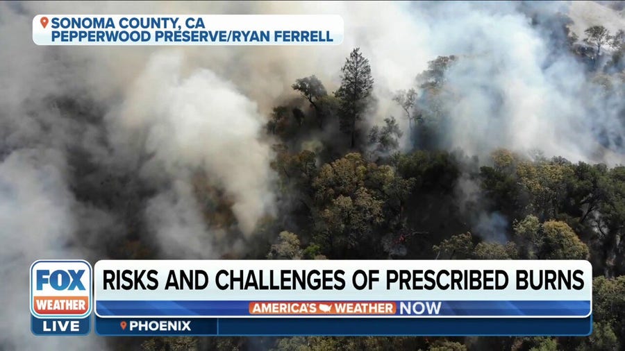Fighting fire with fire: The advantages of prescribed burns