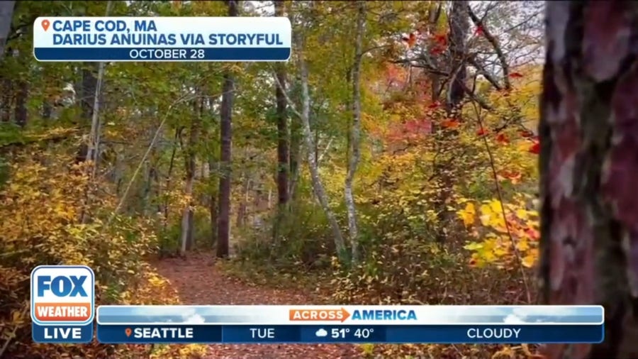 Where in US does fall foliage remain?