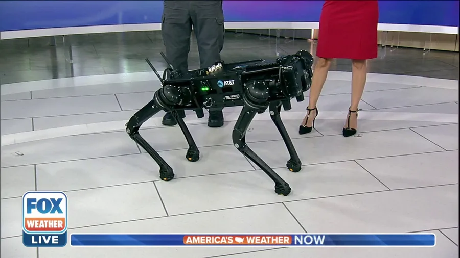 Robot dog can help first responders during natural disasters