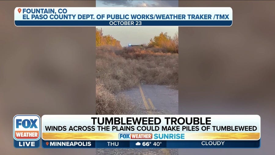 Tumbleweeds are a problem across El Paso County