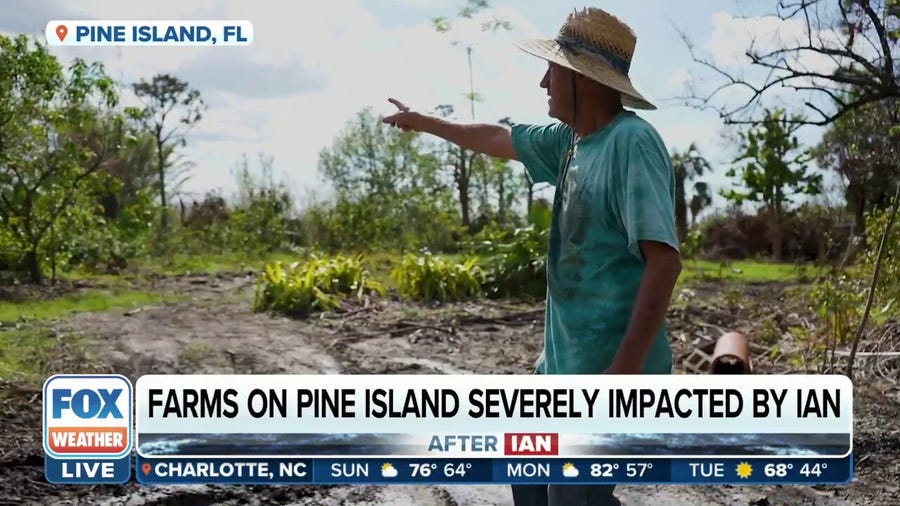 Farms on Pine Island in Florida severely impacted by Hurricane Ian
