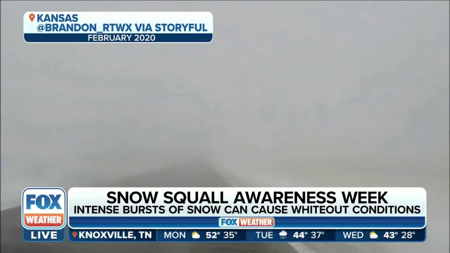 Snow Squall Awareness Week: Intense bursts of snow can cause whiteout conditions