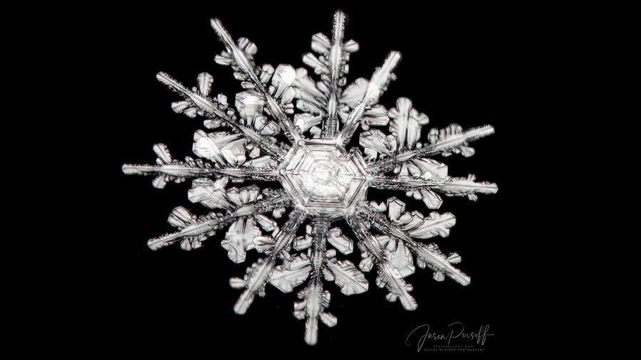 Colorado photographer captures unusual 12-sided snowflake formation