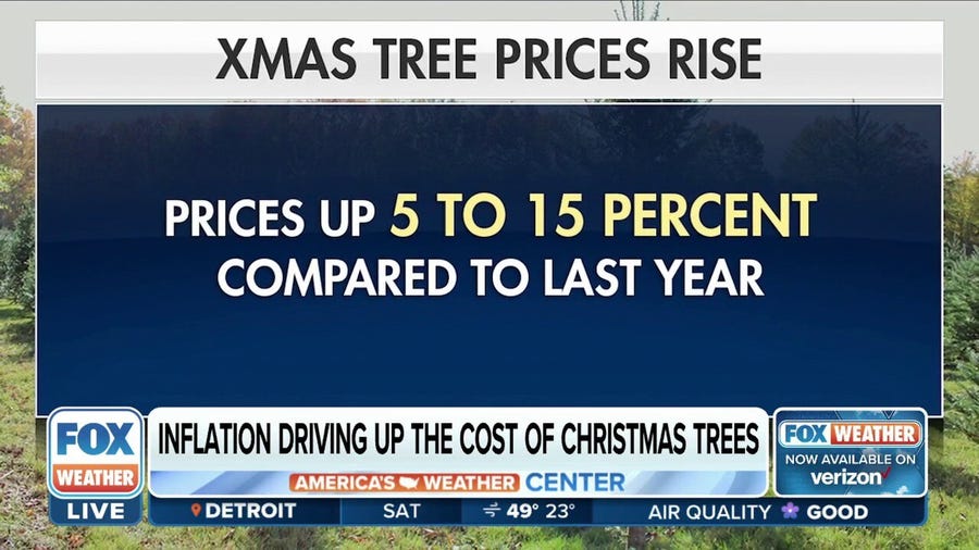Christmas trees will cost more this holiday season