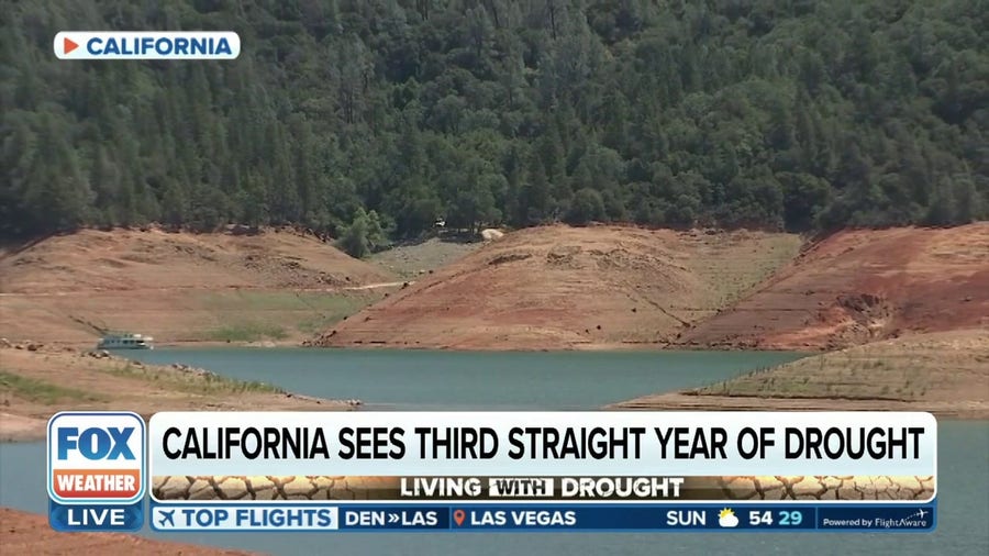 Drought cost California over $2 billion in economic losses past 2 years