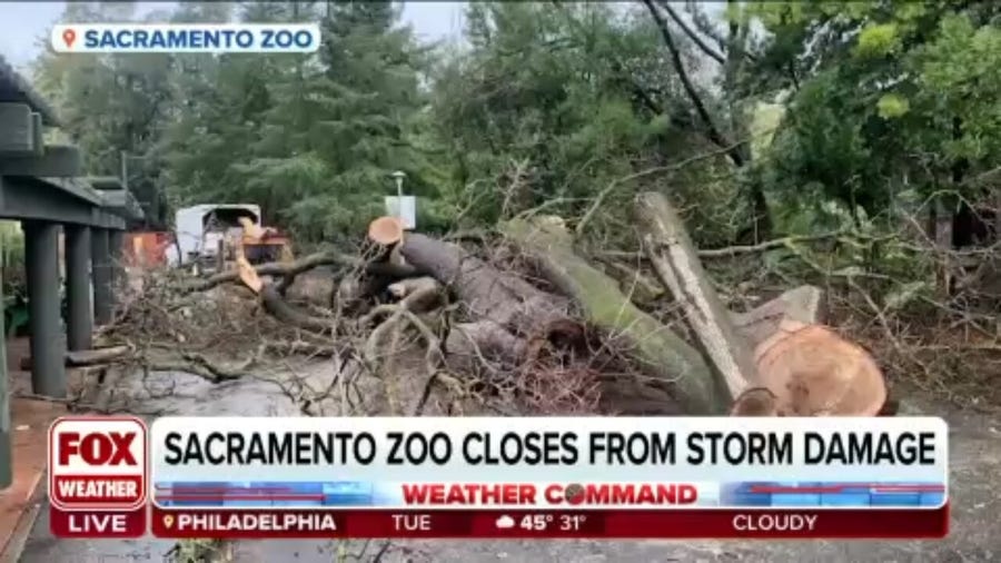 Storm damage forces Sacramento Zoo to close
