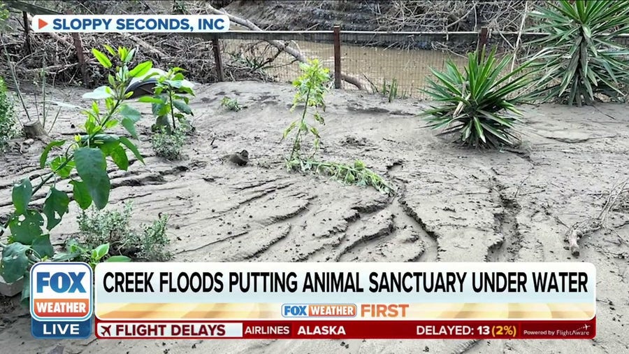 Creek flooding put California animal sanctuary under water