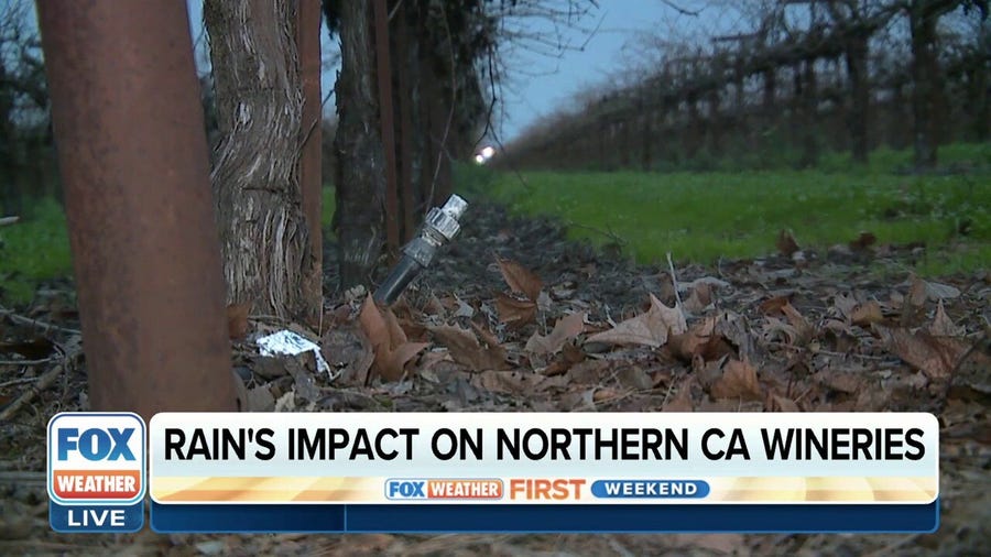 Atmospheric river impact on California's wineries