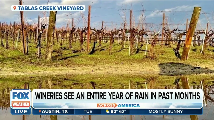 Wineries welcome rounds of rain, find drought relief