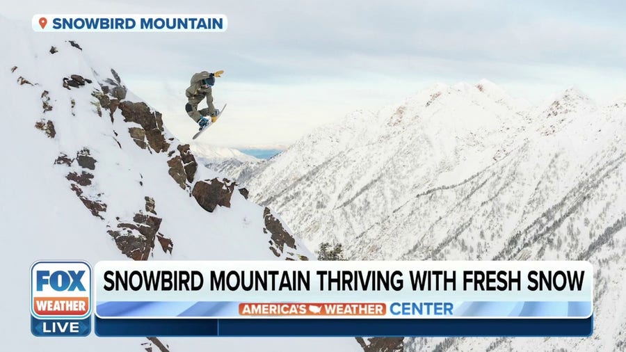 Snowbird Mountain seeing best conditions in years with over 400 inches of snow