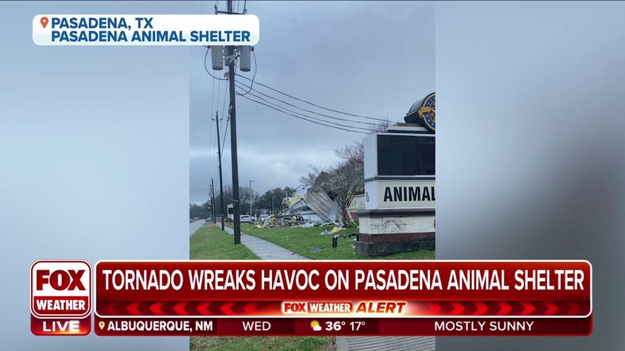 Tornado wreaks havoc on Pasadena Animal Shelter