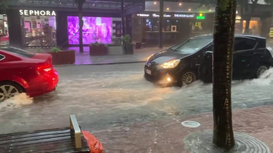 State of emergency declared in Auckland as flooding hits