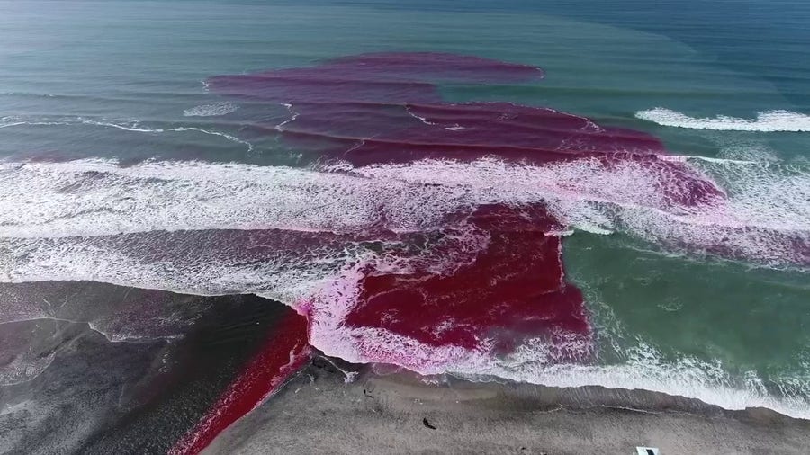 Ocean researchers turn California state beach pink to learn about coastal ocean dynamics