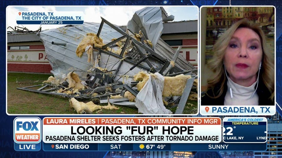 Pasadena, Texas animal shelter hit by EF-3 tornado seeks fosters