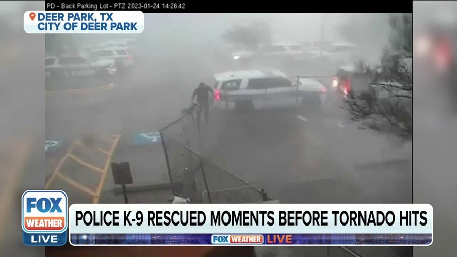 Texas police officer braves tornado and rescues K-9 partner