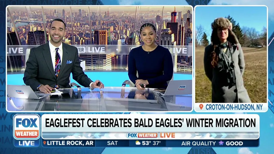 Eaglefest celebrates bald eagles' winter migration in New York