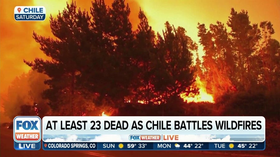Chile wildfires kill at least 22