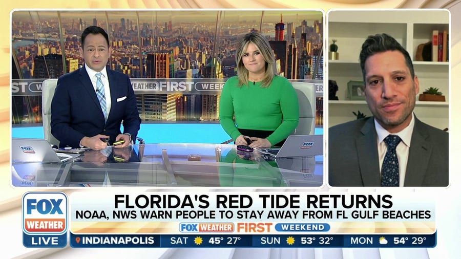 Harmful algal bloom known as red tide invades Florida