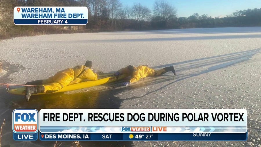 Massachusetts firefighters rescue dog from frozen pond during polar vortex