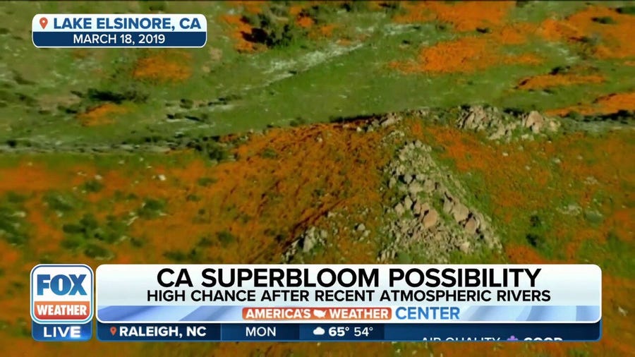 California has high chance to see superbloom after recent atmospheric rivers