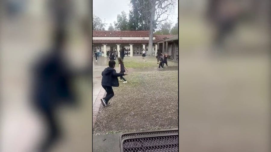 Watch: California kids become ecstatic during hail storm in Pasadena