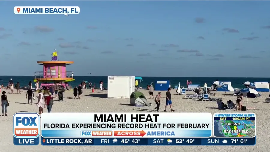 'It's pretty unprecedented': Florida's record heat continues in February