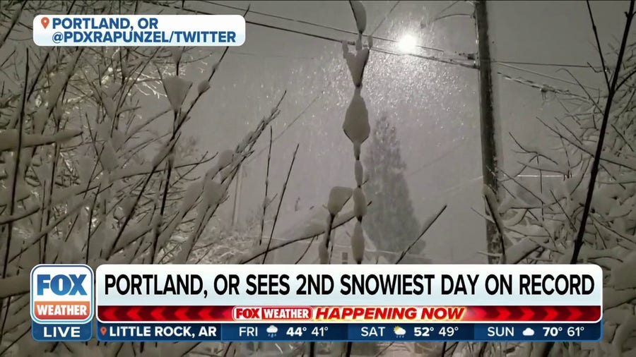 Portland, Oregon sees second-snowiest day on record