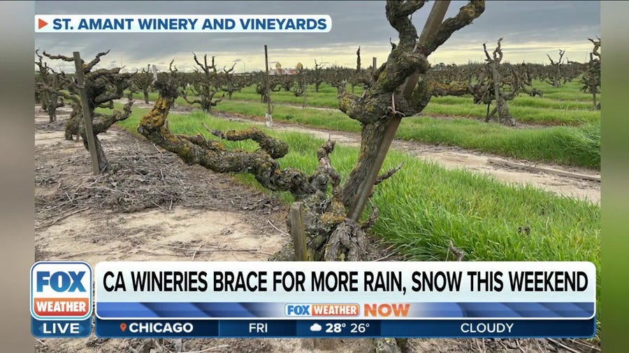 Cold weather a threat to California wineries
